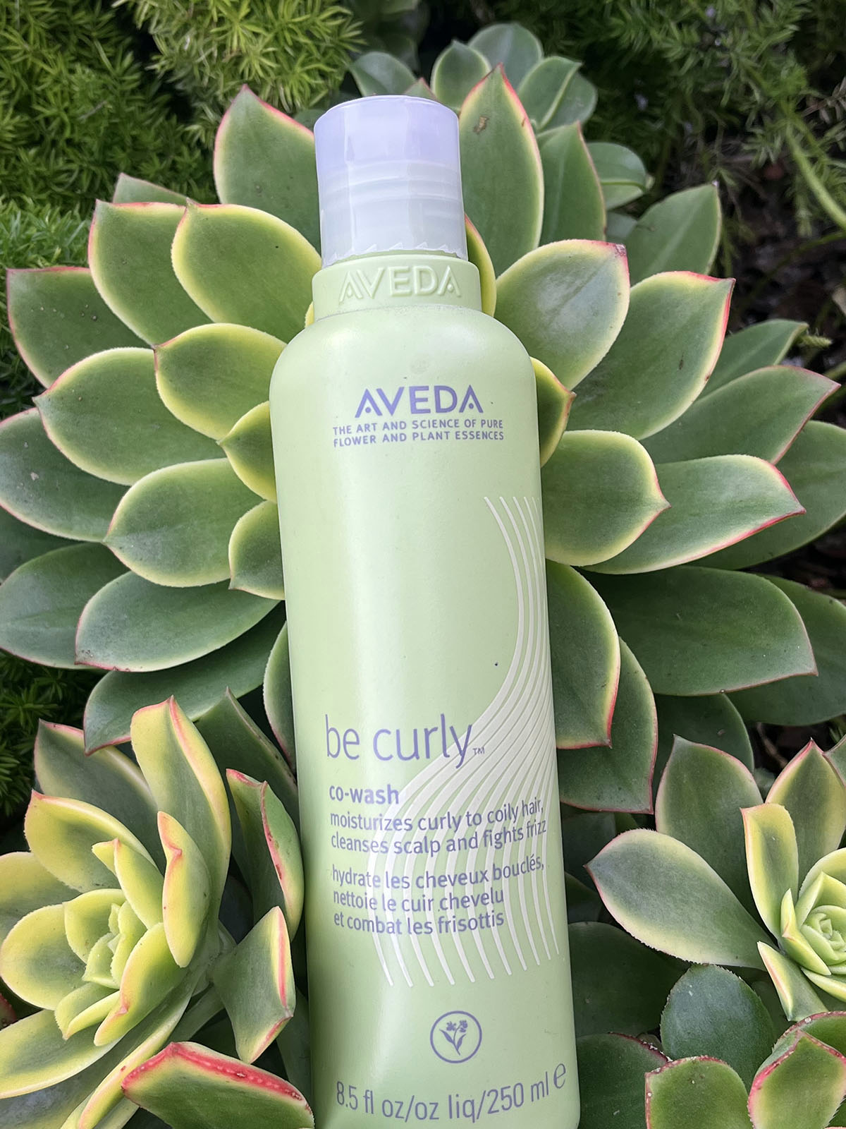 aveda be curly co-wash