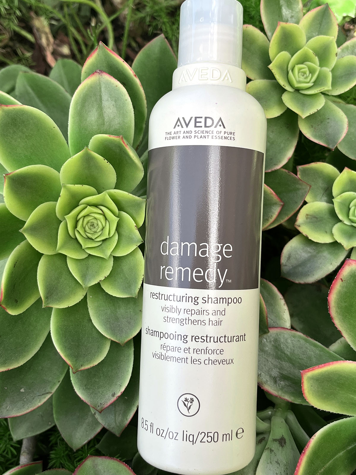 aveda damage remedy restructuring shampoo